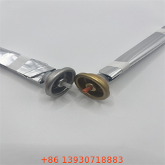 असाधारण बाधा संरक्षण के साथ फार्मास्युटिकल और न्यूट्रास्युटिकल उत्पादों के लिए वाल्व एयरोसोल प्रणाली पर अभिनव और टिकाऊ बैग