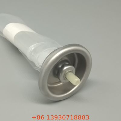 खाद्य और कॉस्मेटिक एयरोसोल स्प्रे के लिए अभिनव बैग-ऑन-वॉल्व सिस्टम