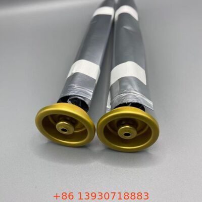 लोशन और सेनेटरी स्प्रे और व्यक्तिगत देखभाल के लिए वाल्व पर महिला एरोसोल बैग