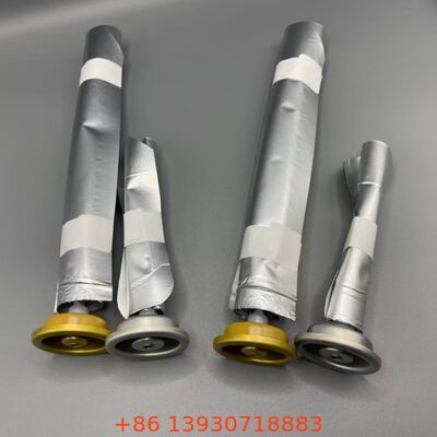 लोशन और सेनेटरी स्प्रे और व्यक्तिगत देखभाल के लिए वाल्व पर महिला एरोसोल बैग